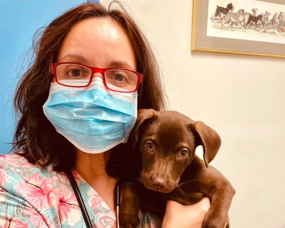     Veterinary staff member holding a brown puppy during a visit in San Diego, CA
