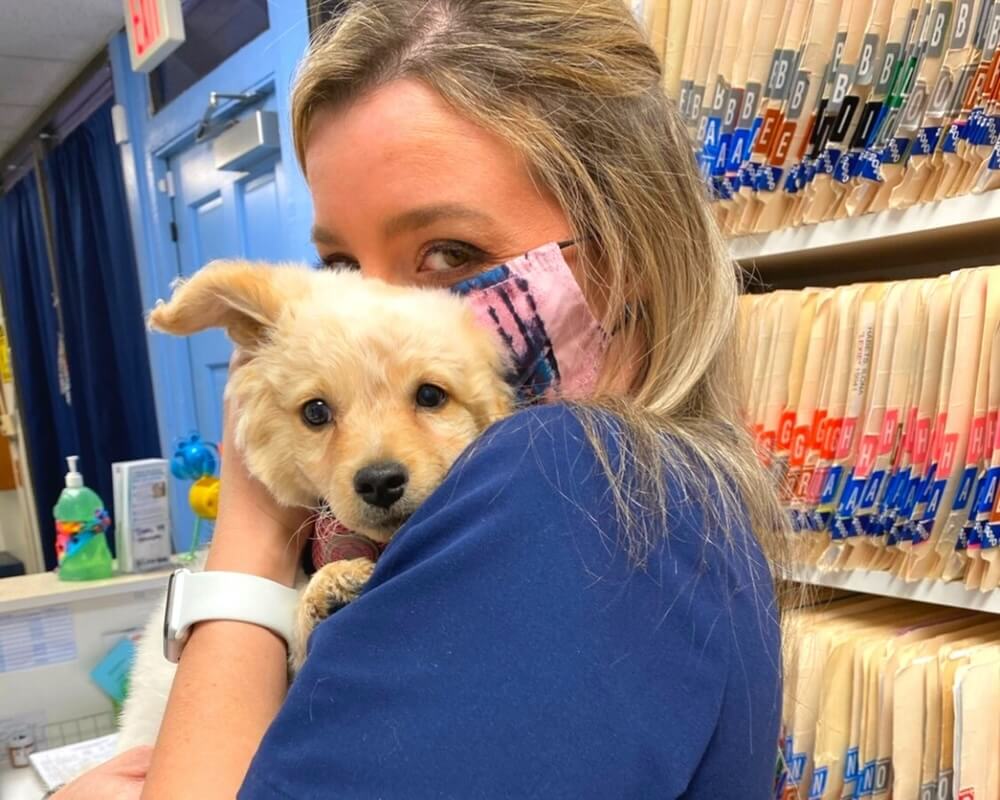     eterinary staff member holding a puppy at an animal hospital in San Diego, CA