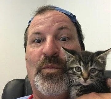 Veterinary staff member holding a tabby kitten during a visit in Bonsall, CA