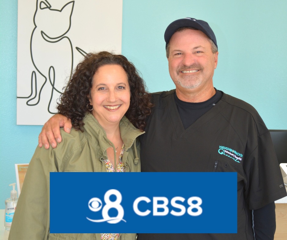Shana and Chris of Neighborhood Veterinary Hospital smiling together, featured on CBS8 — San Diego, CA
