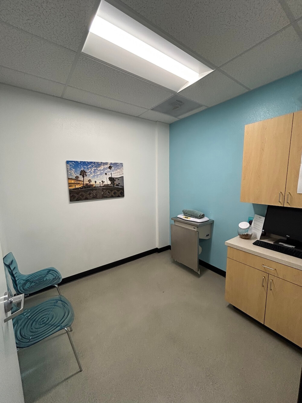 Oceanside Dog Exam Room 2