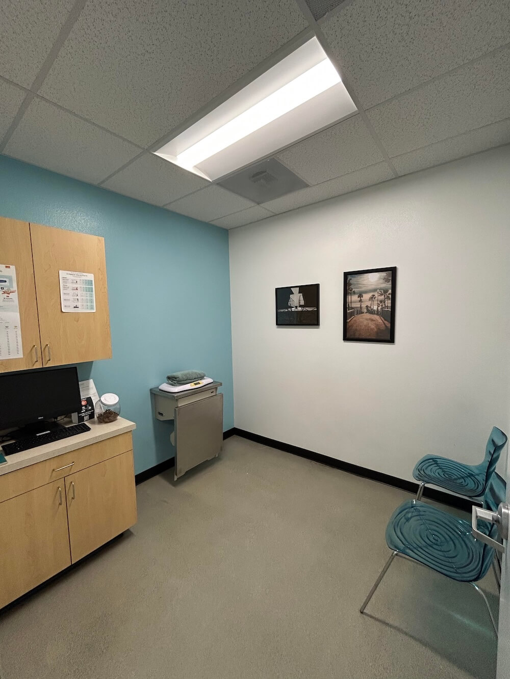 Oceanside Dog Exam Room