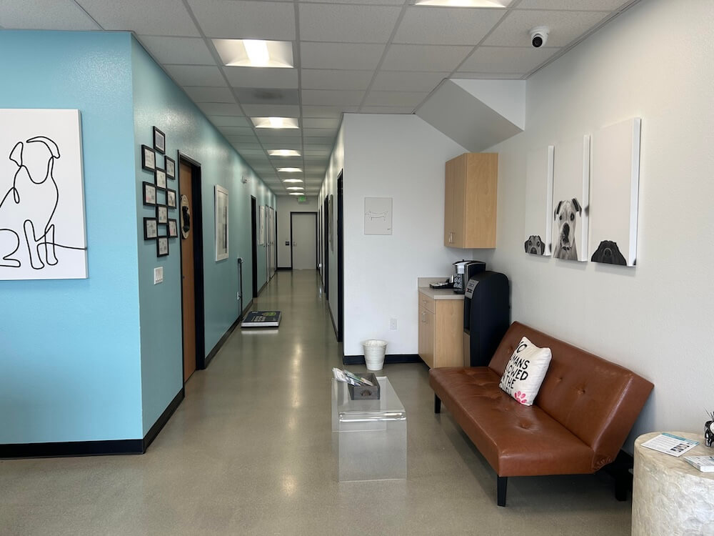 Oceanside Dog Side Exam Hallway