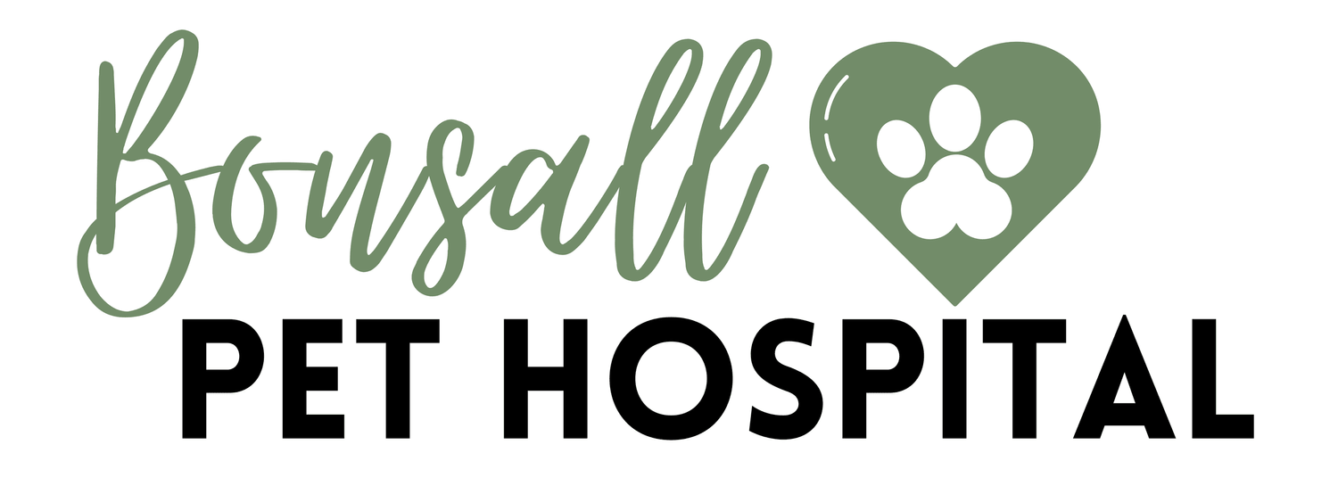 Neighborhood Veterinary Hospitals of San Diego