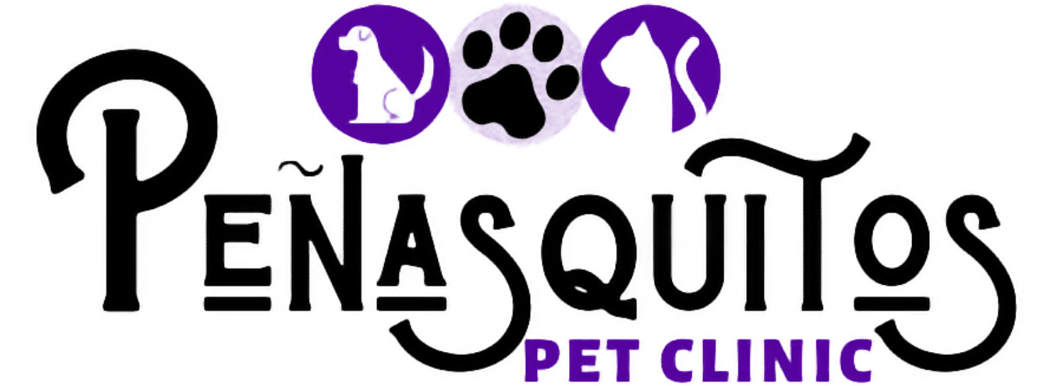 Neighborhood Veterinary Hospitals of San Diego