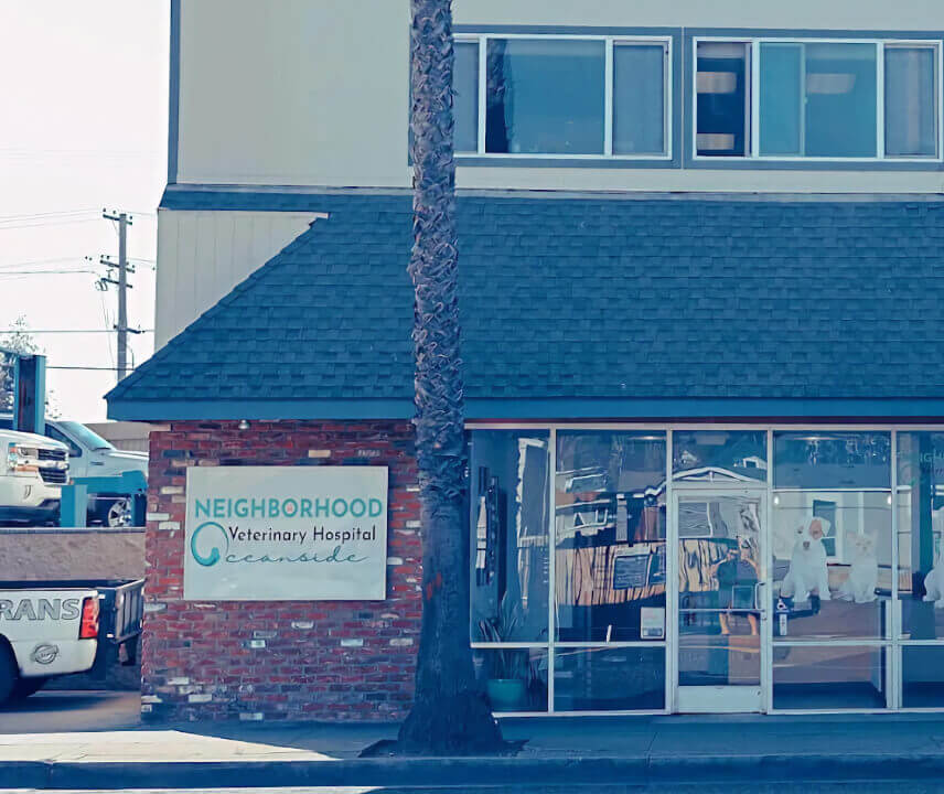 Neighborhood Vet Hospital Oceanside exterior
