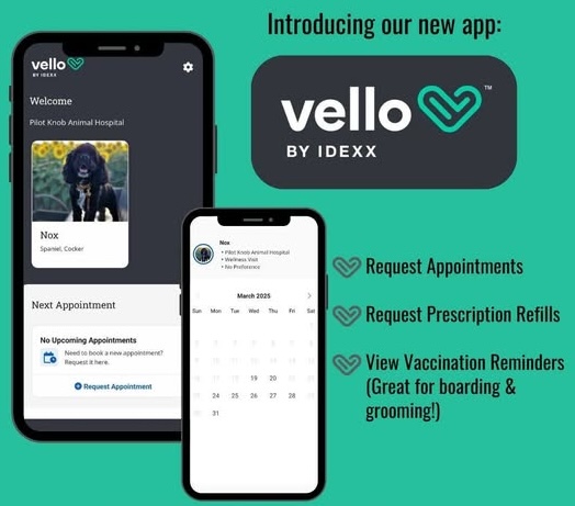 Vello Pet Portal app for viewing your pet's health records and requesting appointments
